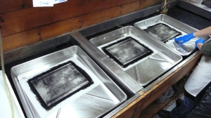 Clearing the Platinum Print